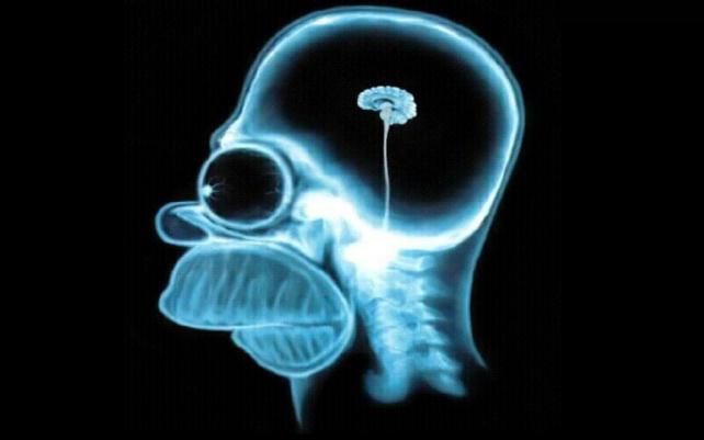 Homer-simpson-brain,1280x800,18857